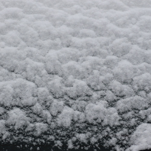 Stuck On You - New Politics (Cover) Jake and Michael