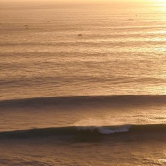 Morrison & One40 - Swell Dub