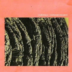 Antonio Duarte - Corteza
