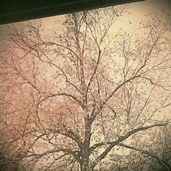 Responding To Materialism