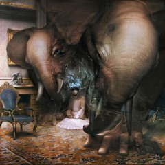 Bassnectar - F.U.N & Pantyraid - Superior Mashup/Edit/Centroid * Remix