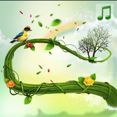 မဆံုးတဲ့ဖူးစာ ( ၀ိုင္၀ိုင္း)