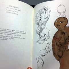 [demonic Chanting] Seeb Seeb Seeb Seeb