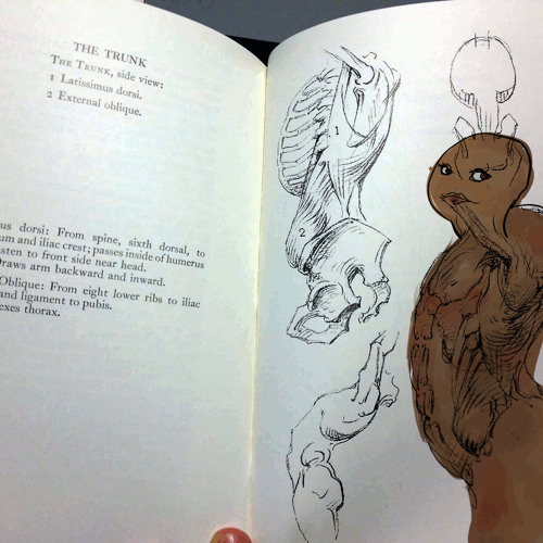 [demonic Chanting] Seeb Seeb Seeb Seeb