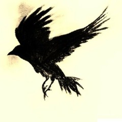 Black Wings (Father Of Omens)