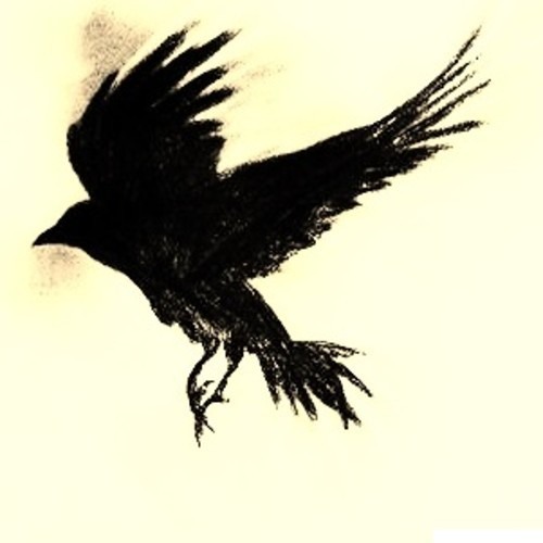 Black Wings (Father Of Omens)