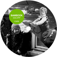 b: Analogon