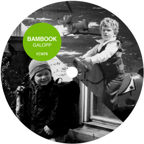 b: Analogon