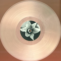 B1 Ada Kaleh - Diafan