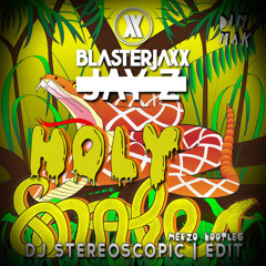 Holy Snake (DJ Stereoscopic Edit) - Jay-Z vs Blasterjaxx (Merzo Bootleg) [Free DL]