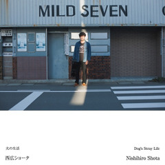 犬の生活/Dog`s Stray Life