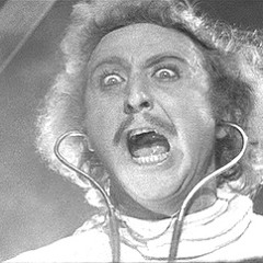 Why You Bob? - Young Frankenstein remix (Open this Goddamn Door)