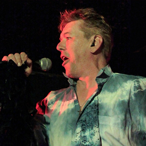 Heroes - BowieD (David Bowie Cover)