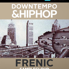 Frenic Hiphop and Downtempo Samples Vol. 1 DEMO