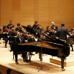 TCHAIKOVSKY - Concert Per A Piano Nº 1 - 2n Mov. Andantino Semplice - LLUÍS RODRÍGUEZ SALVÀ