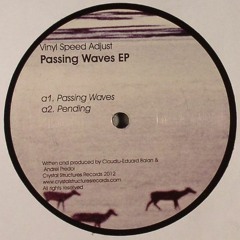 [CSR001] - Vinyl Speed Adjust - PASSING WAVES EP