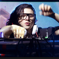 SKRILLEX 2014 Rock a Field