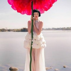 Well Snap - Clarity & Discernment Breath