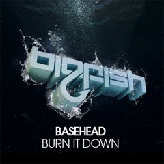 BASEHEAD - Burn It Down (Original Mix) FREE DOWNLOAD
