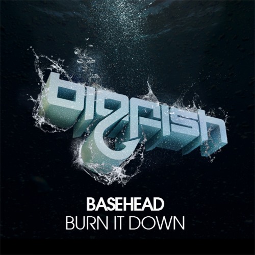 BASEHEAD - Burn It Down (Original Mix) FREE DOWNLOAD