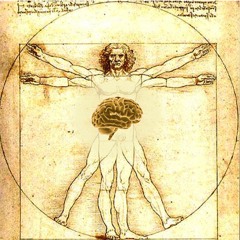 The Gut - Brain Connection