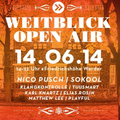 Nico Pusch @ Weitblick Open Air 14.06.2014