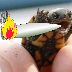 Turtle 4.20