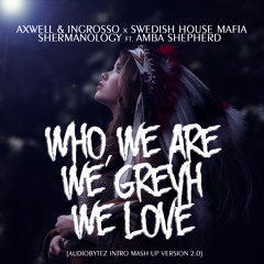 Who, We Are We Grey We Love (Audiobytez Intro Mashup Version 2.0)