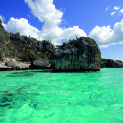 Coconut Love #MakeMind