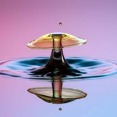 Mush Room Rain Drops