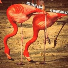 Flamingotanz Reloaded