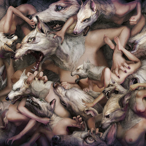 KFDDA - Amongst The Animals