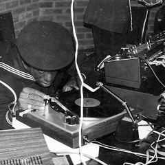 Heavyweight Roots Selection 2
