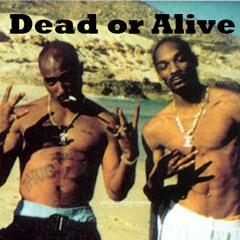 2pac and Snoop -  Dead Or Alive (Parros BlockParty Mix)