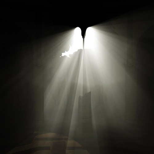 Dark Illumination