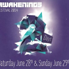 Spiros Kaloumenos @ Awakenings Festival 28/06/2014