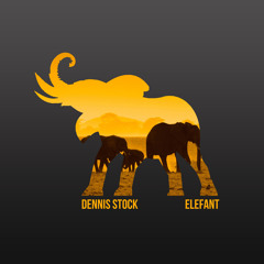 Elefant