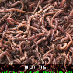 Worms