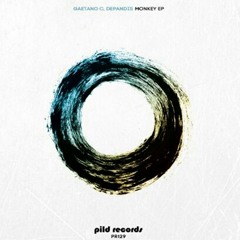 Gaetano C, DePandis - Subway (Original Mix) [PILD RECORDS]