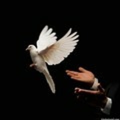 أيهآ الغآئب الححآضر ، ♡