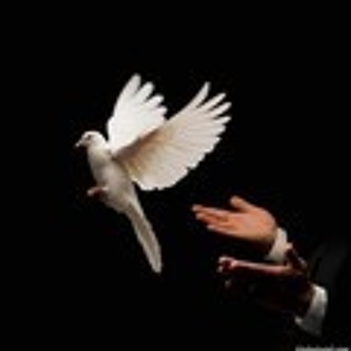 أيهآ الغآئب الححآضر ، ♡