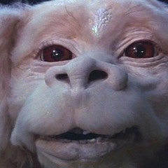 Wally Blowout & The Squirt Hogs - Love Only Costs A Penny