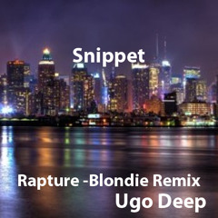 Rapture - (Blondie  Remix Snippet)