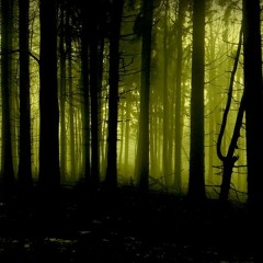 Lustre - Lunar Light