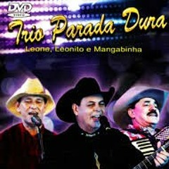 Trio Parada Dura - Alto Astral.