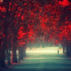 About Dark Roads And Red Eyes