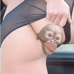 Pickerings july 2014