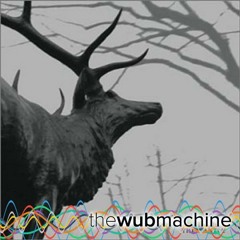 In the Shadow of Our Pale Companion (Wub Machine Remix)