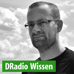 Leevey @ Club der Republik (DRadio Wissen 31.05.2014)