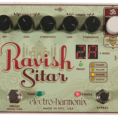 Ravish sitar demo bass